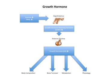 growthhormone