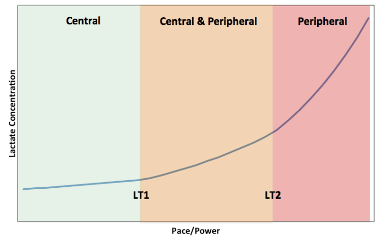 Screen Shot 2017-08-30 at 09.17.58